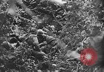 Image of US Army soldiers and Marines in combat World War 2 Pacific Theater, 1944, second 12 stock footage video 65675056746