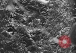 Image of US Army soldiers and Marines in combat World War 2 Pacific Theater, 1944, second 14 stock footage video 65675056746