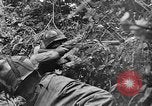 Image of US Army soldiers and Marines in combat World War 2 Pacific Theater, 1944, second 15 stock footage video 65675056746