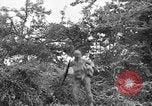 Image of US Army soldiers and Marines in combat World War 2 Pacific Theater, 1944, second 19 stock footage video 65675056746