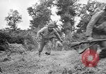 Image of US Army soldiers and Marines in combat World War 2 Pacific Theater, 1944, second 20 stock footage video 65675056746