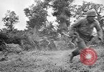 Image of US Army soldiers and Marines in combat World War 2 Pacific Theater, 1944, second 21 stock footage video 65675056746