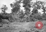 Image of US Army soldiers and Marines in combat World War 2 Pacific Theater, 1944, second 23 stock footage video 65675056746