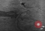 Image of US Army soldiers and Marines in combat World War 2 Pacific Theater, 1944, second 54 stock footage video 65675056746