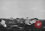 Image of Kamikaze aircraft attacking US ships World War 2 Pacific Ocean, 1944, second 12 stock footage video 65675056747