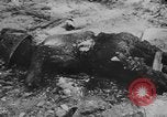 Standbild uns und feindliche Soldaten in Zweiten Weltkrieg Pacific Theater, 1944, aus Sekunde 12 historischem Filmmaterial Videoclip 65675056749