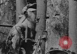 Standbild uns und feindliche Soldaten in Zweiten Weltkrieg Pacific Theater, 1944, aus Sekunde 17 historischem Filmmaterial Videoclip 65675056749