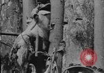 Standbild uns und feindliche Soldaten in Zweiten Weltkrieg Pacific Theater, 1944, aus Sekunde 18 historischem Filmmaterial Videoclip 65675056749