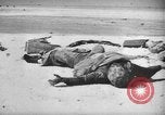 Standbild uns und feindliche Soldaten in Zweiten Weltkrieg Pacific Theater, 1944, aus Sekunde 36 historischem Filmmaterial Videoclip 65675056749