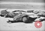 Standbild uns und feindliche Soldaten in Zweiten Weltkrieg Pacific Theater, 1944, aus Sekunde 38 historischem Filmmaterial Videoclip 65675056749