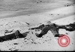 Standbild uns und feindliche Soldaten in Zweiten Weltkrieg Pacific Theater, 1944, aus Sekunde 45 historischem Filmmaterial Videoclip 65675056749
