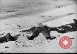 Standbild uns und feindliche Soldaten in Zweiten Weltkrieg Pacific Theater, 1944, aus Sekunde 46 historischem Filmmaterial Videoclip 65675056749