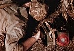 Standbild Schlacht von Iwo Jima Iwo Jima, 1945, aus Sekunde 31 historischem Filmmaterial Videoclip 65675056750