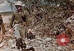 Standbild Schlacht von Iwo Jima Iwo Jima, 1945, aus Sekunde 42 historischem Filmmaterial Videoclip 65675056750
