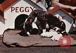 Image of invasion of Iwo Jima Iwo Jima, 1945, second 13 stock footage video 65675056757