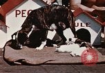 Image of invasion of Iwo Jima Iwo Jima, 1945, second 14 stock footage video 65675056757