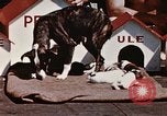 Image of invasion of Iwo Jima Iwo Jima, 1945, second 15 stock footage video 65675056757