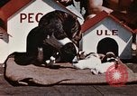 Image of invasion of Iwo Jima Iwo Jima, 1945, second 16 stock footage video 65675056757