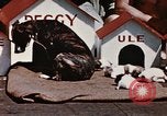 Image of invasion of Iwo Jima Iwo Jima, 1945, second 20 stock footage video 65675056757