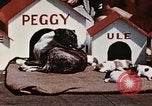 Image of invasion of Iwo Jima Iwo Jima, 1945, second 23 stock footage video 65675056757