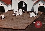Image of invasion of Iwo Jima Iwo Jima, 1945, second 26 stock footage video 65675056757