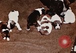 Image of invasion of Iwo Jima Iwo Jima, 1945, second 30 stock footage video 65675056757