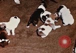 Image of invasion of Iwo Jima Iwo Jima, 1945, second 35 stock footage video 65675056757