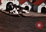 Image of invasion of Iwo Jima Iwo Jima, 1945, second 40 stock footage video 65675056757