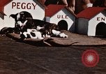 Image of invasion of Iwo Jima Iwo Jima, 1945, second 42 stock footage video 65675056757