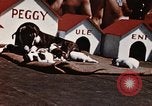 Image of invasion of Iwo Jima Iwo Jima, 1945, second 46 stock footage video 65675056757