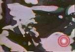 Image of President Richard Nixon Washington DC USA, 1972, second 3 stock footage video 65675056789