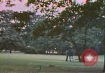 Image of President Richard Nixon Washington DC USA, 1972, second 5 stock footage video 65675056790