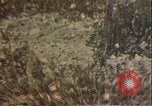 Image of President Richard Nixon Washington DC USA, 1972, second 25 stock footage video 65675056793
