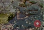 Image of President Richard Nixon United States USA, 1972, second 8 stock footage video 65675056797