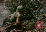 Image of President Richard Nixon United States USA, 1972, second 9 stock footage video 65675056797