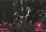 Standbild Präsident Richard Nixon San Clemente California USA, 1973, aus Sekunde 34 historischem Filmmaterial Videoclip 65675056847