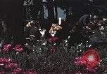 Standbild Präsident Richard Nixon San Clemente California USA, 1973, aus Sekunde 35 historischem Filmmaterial Videoclip 65675056847