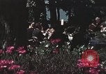 Standbild Präsident Richard Nixon San Clemente California USA, 1973, aus Sekunde 41 historischem Filmmaterial Videoclip 65675056847