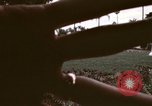 Immagine di Western White House San Clemente California USA, 1973, secondo 15 filmato di repertorio 65675056858