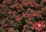 Image of Western White House San Clemente California USA, 1973, second 47 stock footage video 65675056863
