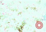 Image of Western White House San Clemente California USA, 1973, second 54 stock footage video 65675056863