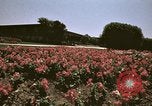 Image of Western White House San Clemente California USA, 1973, second 44 stock footage video 65675056864