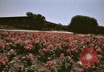 Image of Western White House San Clemente California USA, 1973, second 45 stock footage video 65675056864