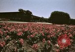 Image of Western White House San Clemente California USA, 1973, second 47 stock footage video 65675056864
