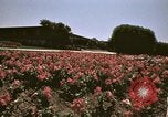 Image of Western White House San Clemente California USA, 1973, second 48 stock footage video 65675056864