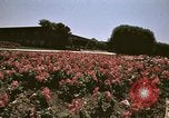Image of Western White House San Clemente California USA, 1973, second 51 stock footage video 65675056864