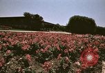 Image of Western White House San Clemente California USA, 1973, second 52 stock footage video 65675056864