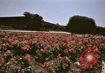 Image of Western White House San Clemente California USA, 1973, second 53 stock footage video 65675056864