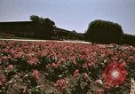 Image of Western White House San Clemente California USA, 1973, second 54 stock footage video 65675056864