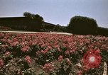 Image of Western White House San Clemente California USA, 1973, second 57 stock footage video 65675056864
